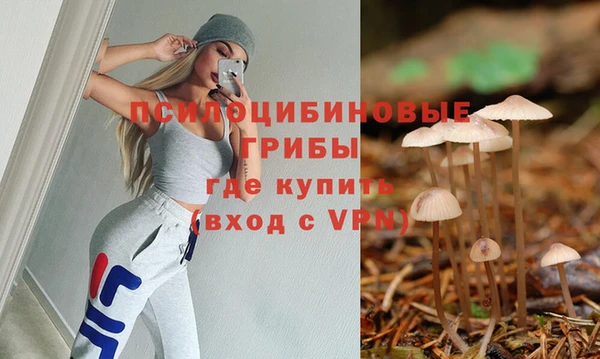 MDMA Горнозаводск
